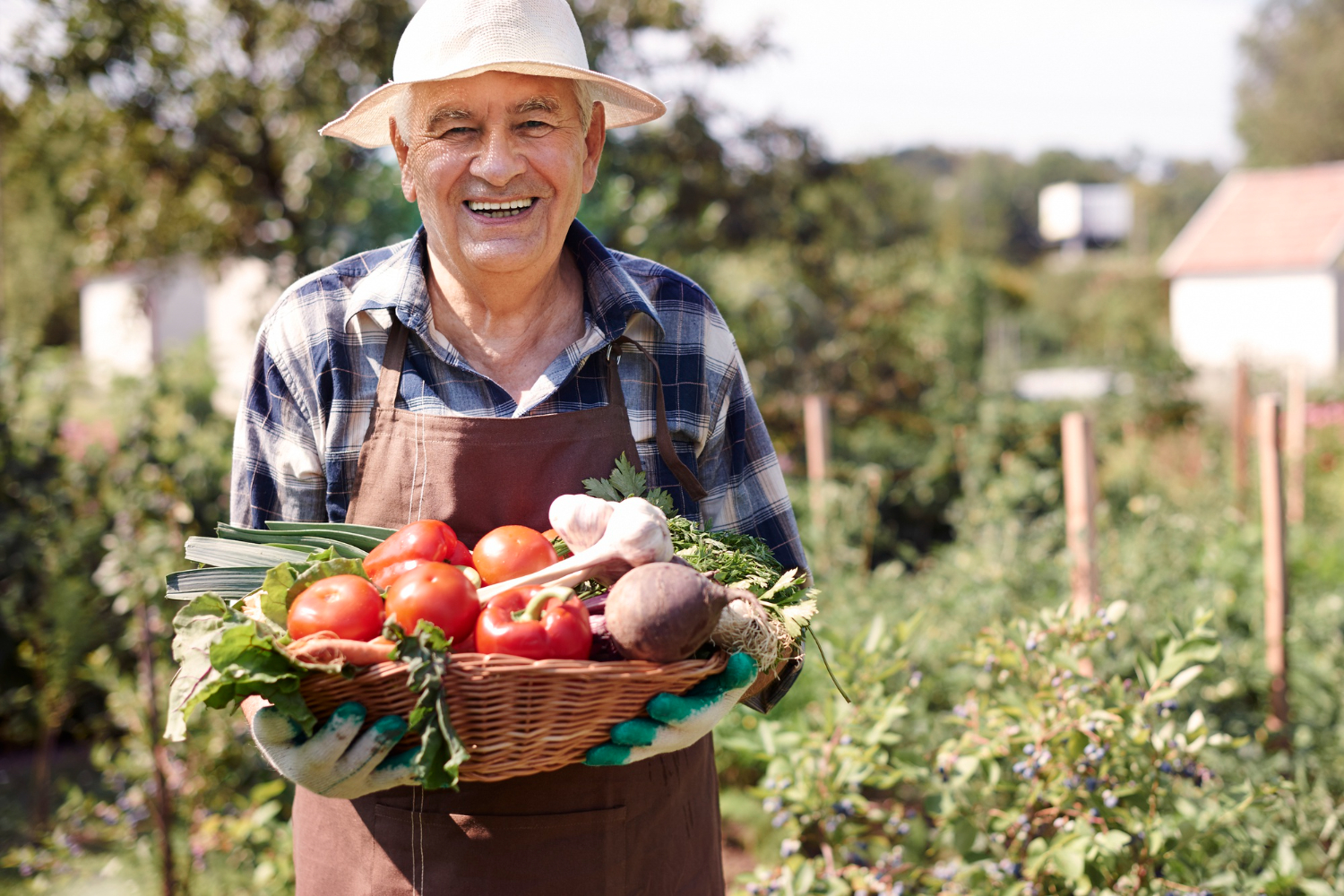Is biologisch eten duur?